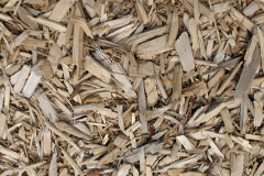 biomass boilers West Itchenor